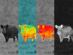 zeiss-dti-335-color-modes-boar